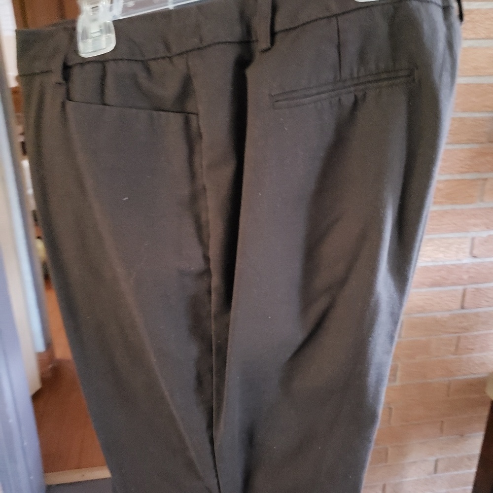 Pant